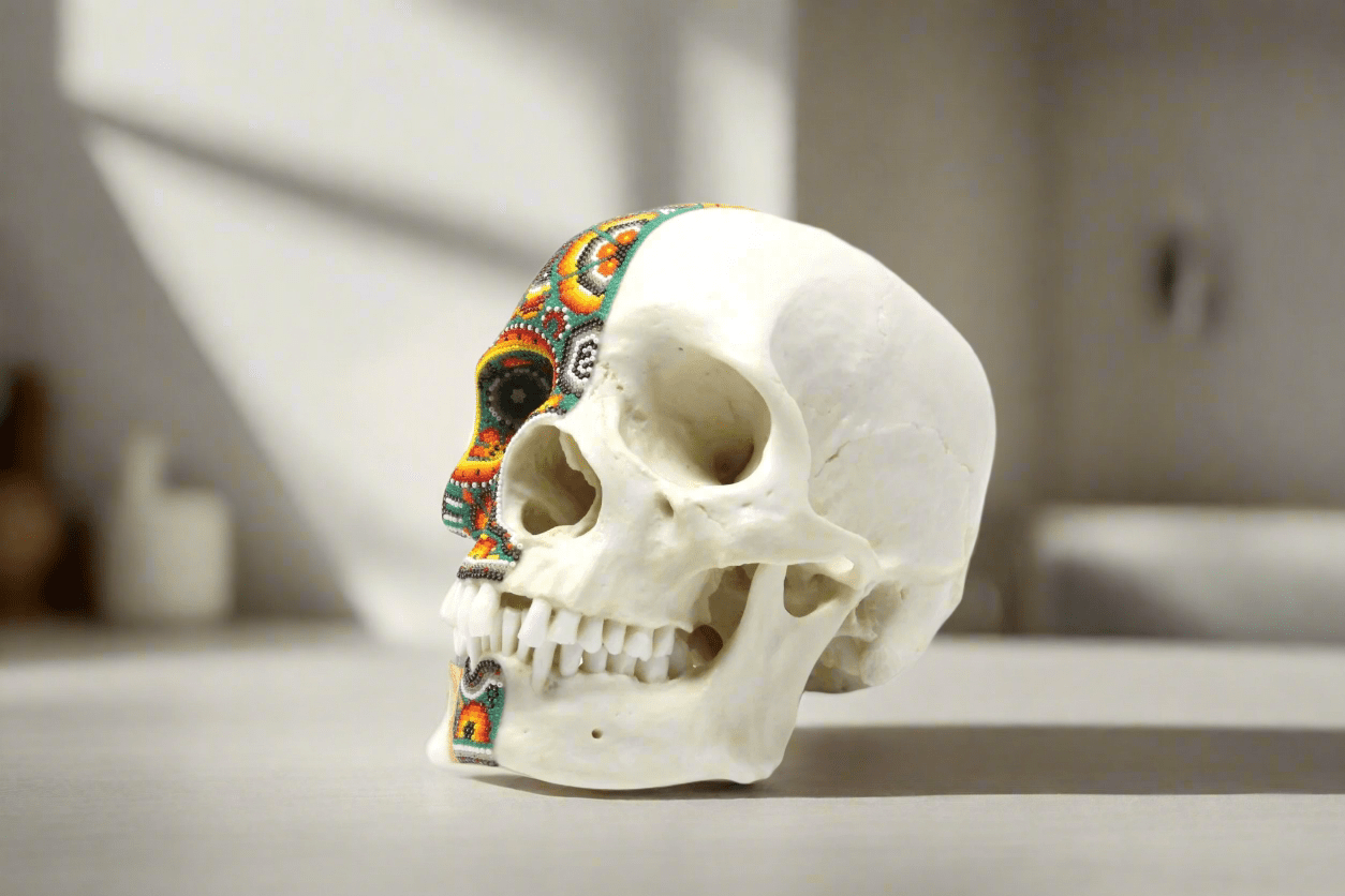 Cráneo Hiperrealista de Humano escala real "Xapawiyemeta" - Arte Huichol - Marakame