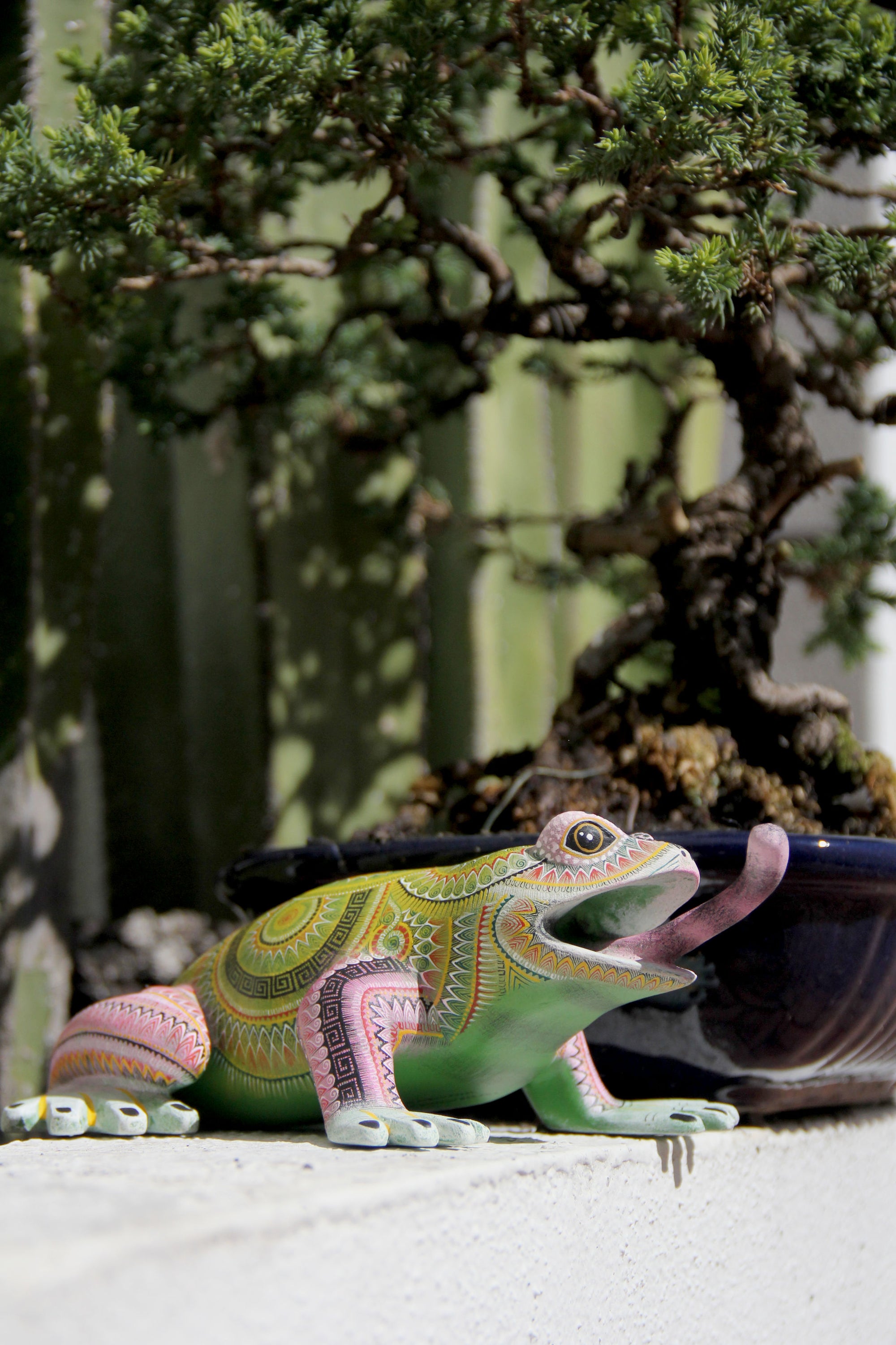 Alebrije Frog - Bidxi ñee gaa