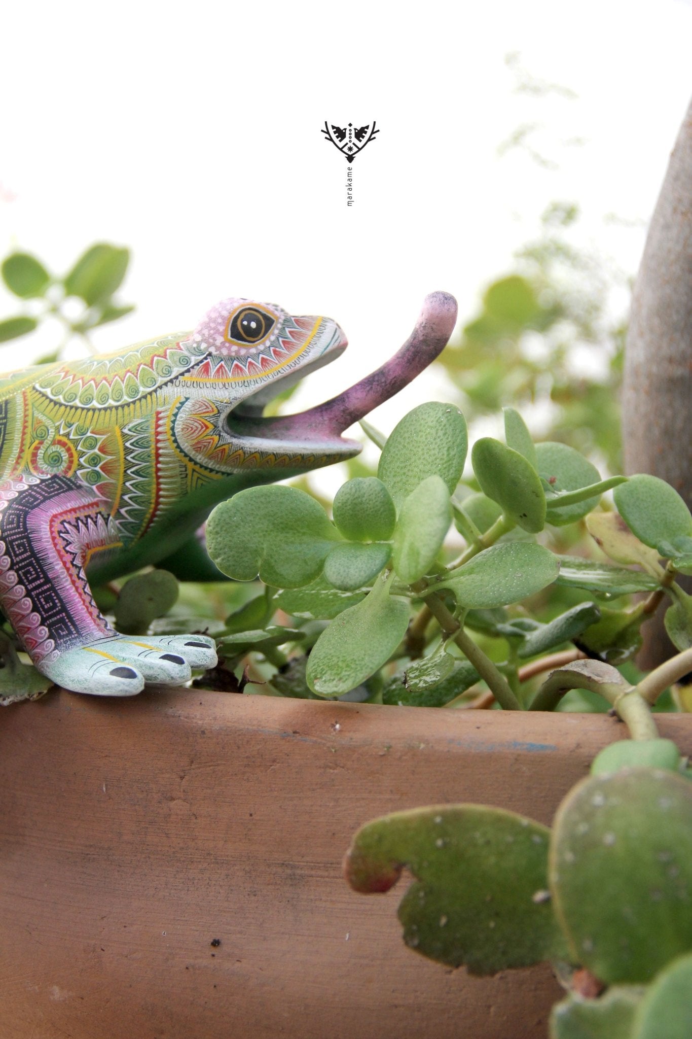 Alebrije Frog - Bidxi ñee gaa - Huichol Art - Marakame