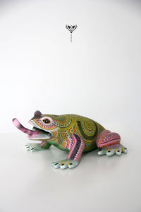 Alebrije Frog - Bidxi ñee gaa - Huichol Art - Marakame