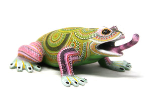 Grenouille Alebrije - Bidxi ñee gaa - Art Huichol - Marakame