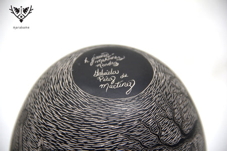 Mata Ortiz Ceramics - Restless Cemetery - Night - Huichol Art - Marakame