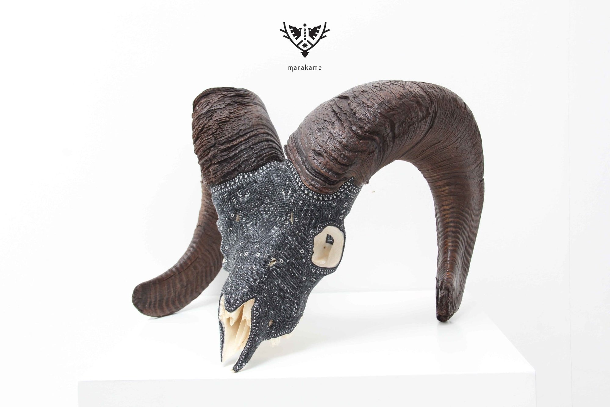 Cráneo auténtico de borrego cimarrón - K+pierita - Arte Huichol - Marakame