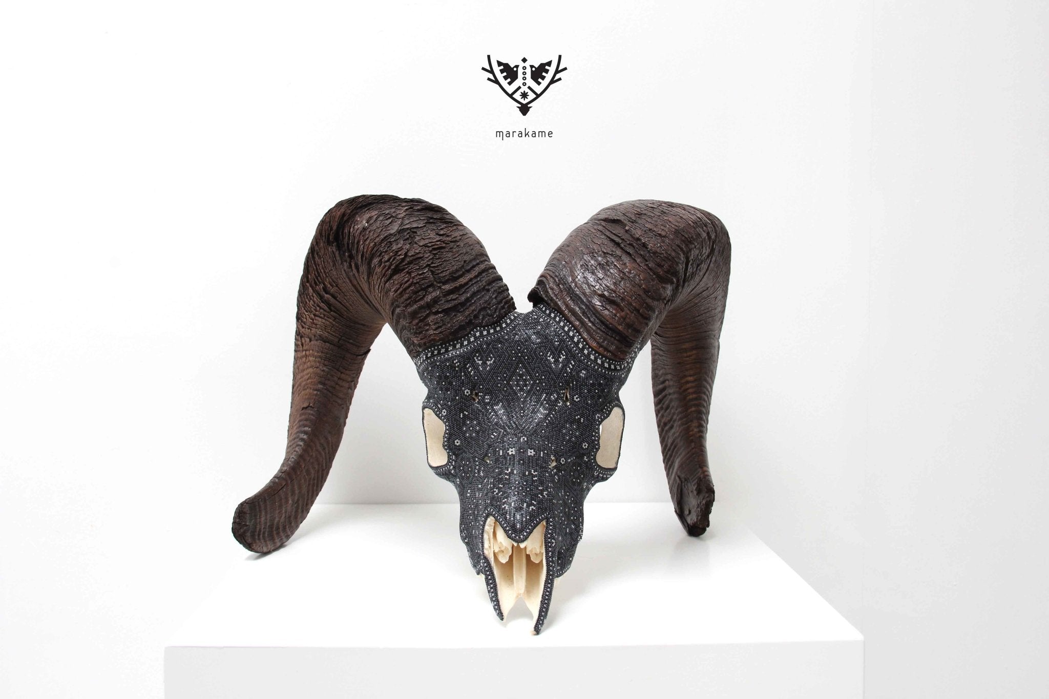 本物のオオツノヒツジの頭蓋骨-K + pierita-Huichol art-Marakame