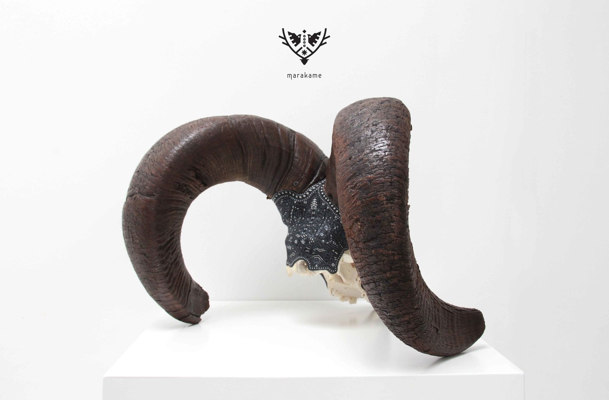Crâne de mouflon d'Amérique authentique - K + pierita - Art Huichol - Marakame