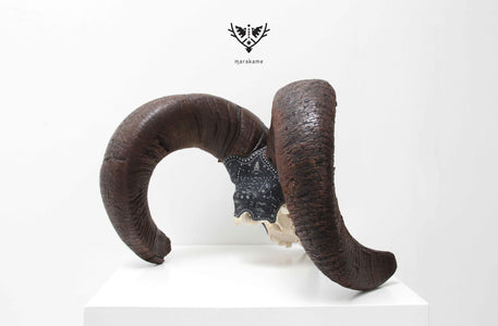 Authentic bighorn sheep skull - K + pierita - Huichol art - Marakame