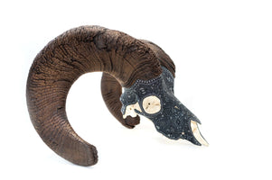 本物のオオツノヒツジの頭蓋骨-K + pierita-Huichol art-Marakame
