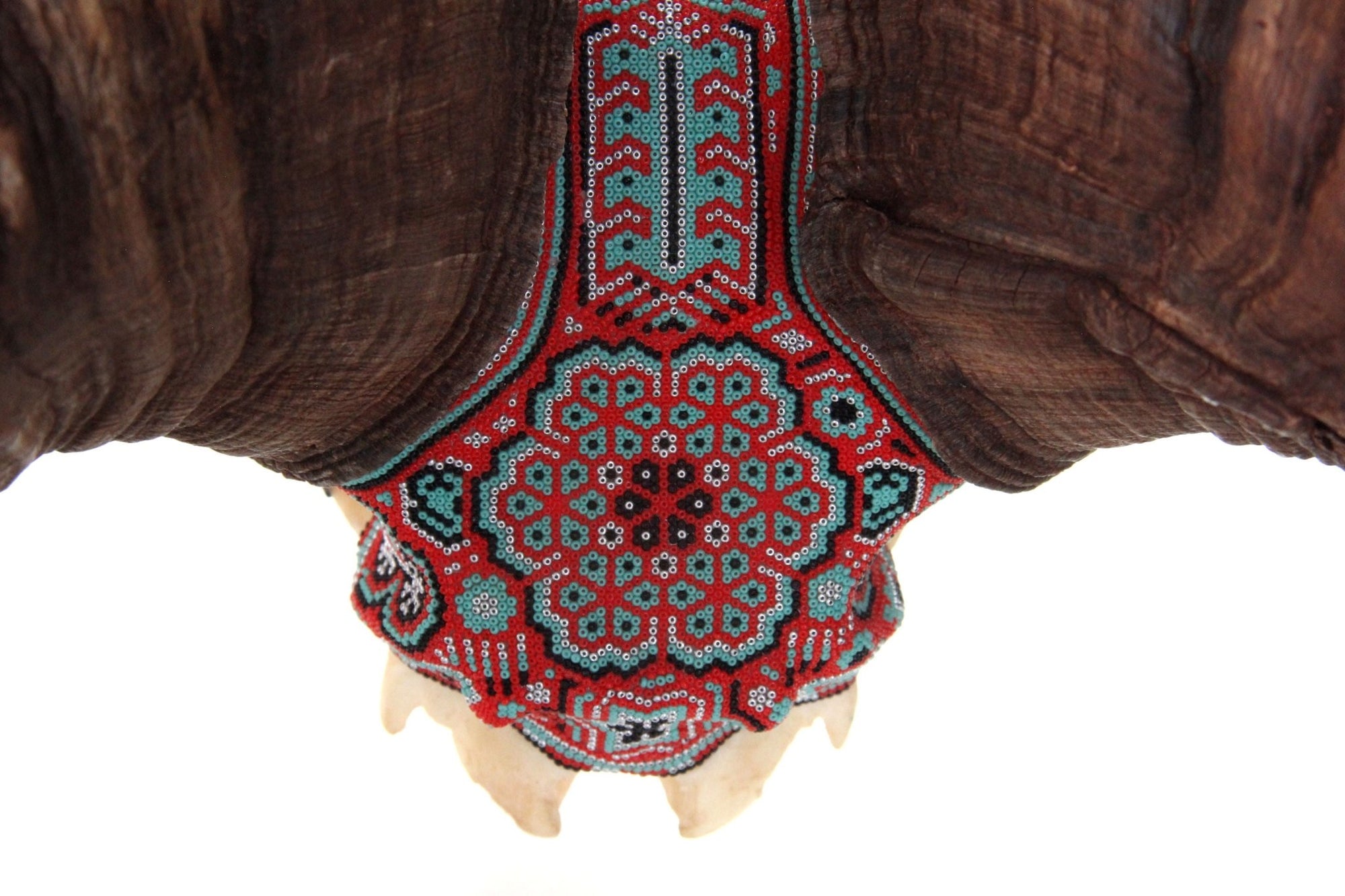 Authentic Bighorn Sheep Skull - Tatewari - Huichol Art - Marakame