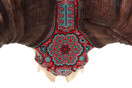 Authentic Bighorn Sheep Skull - Tatewari - Huichol Art - Marakame
