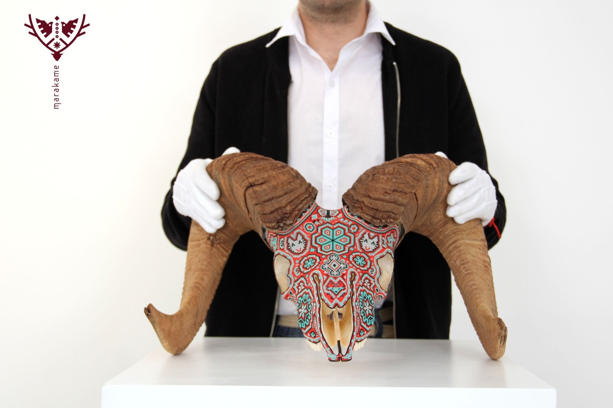 Authentique crâne de mouflon d'Amérique - Tatewari - Huichol Art - Marakame