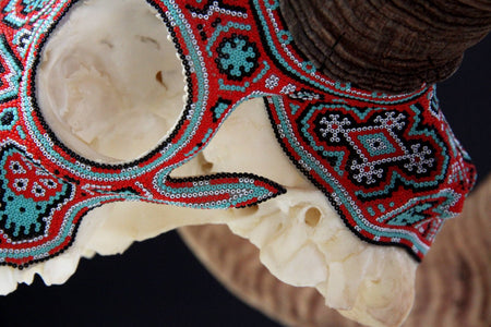 Authentic Bighorn Sheep Skull - Tatewari - Huichol Art - Marakame