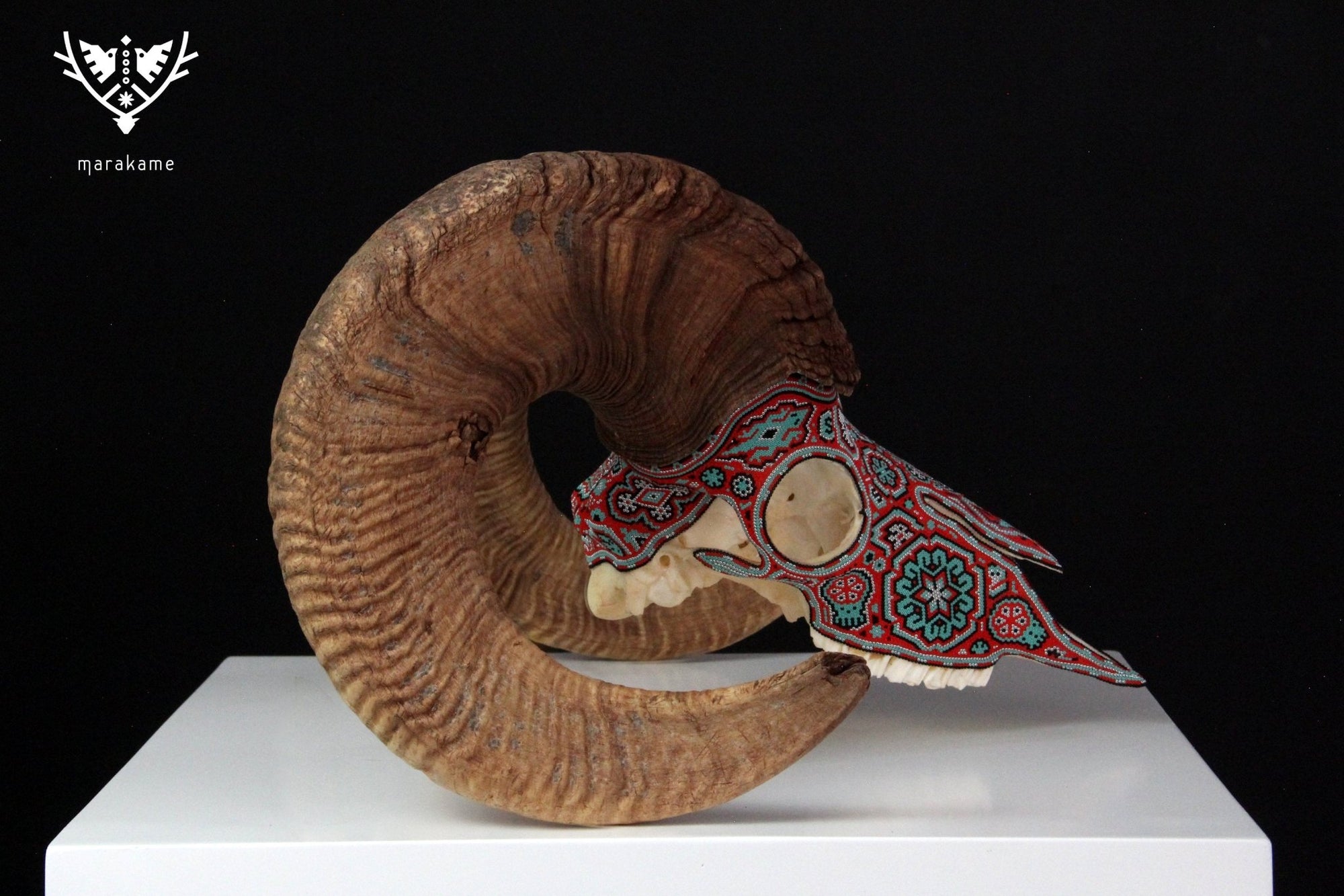 Authentic Bighorn Sheep Skull - Tatewari - Huichol Art - Marakame