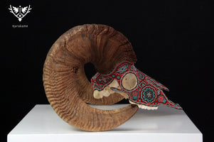 Autentico teschio di pecora Bighorn - Tatewari - Huichol Art - Marakame