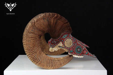 Authentic Bighorn Sheep Skull - Tatewari - Huichol Art - Marakame