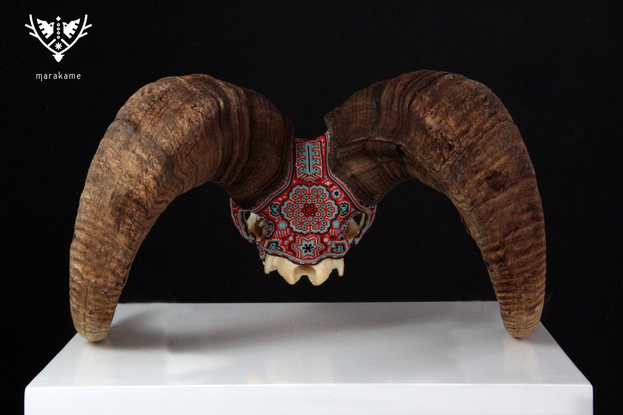 Authentic Bighorn Sheep Skull - Tatewari - Huichol Art - Marakame