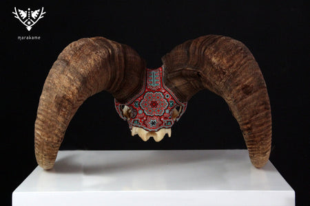 Authentic Bighorn Sheep Skull - Tatewari - Huichol Art - Marakame