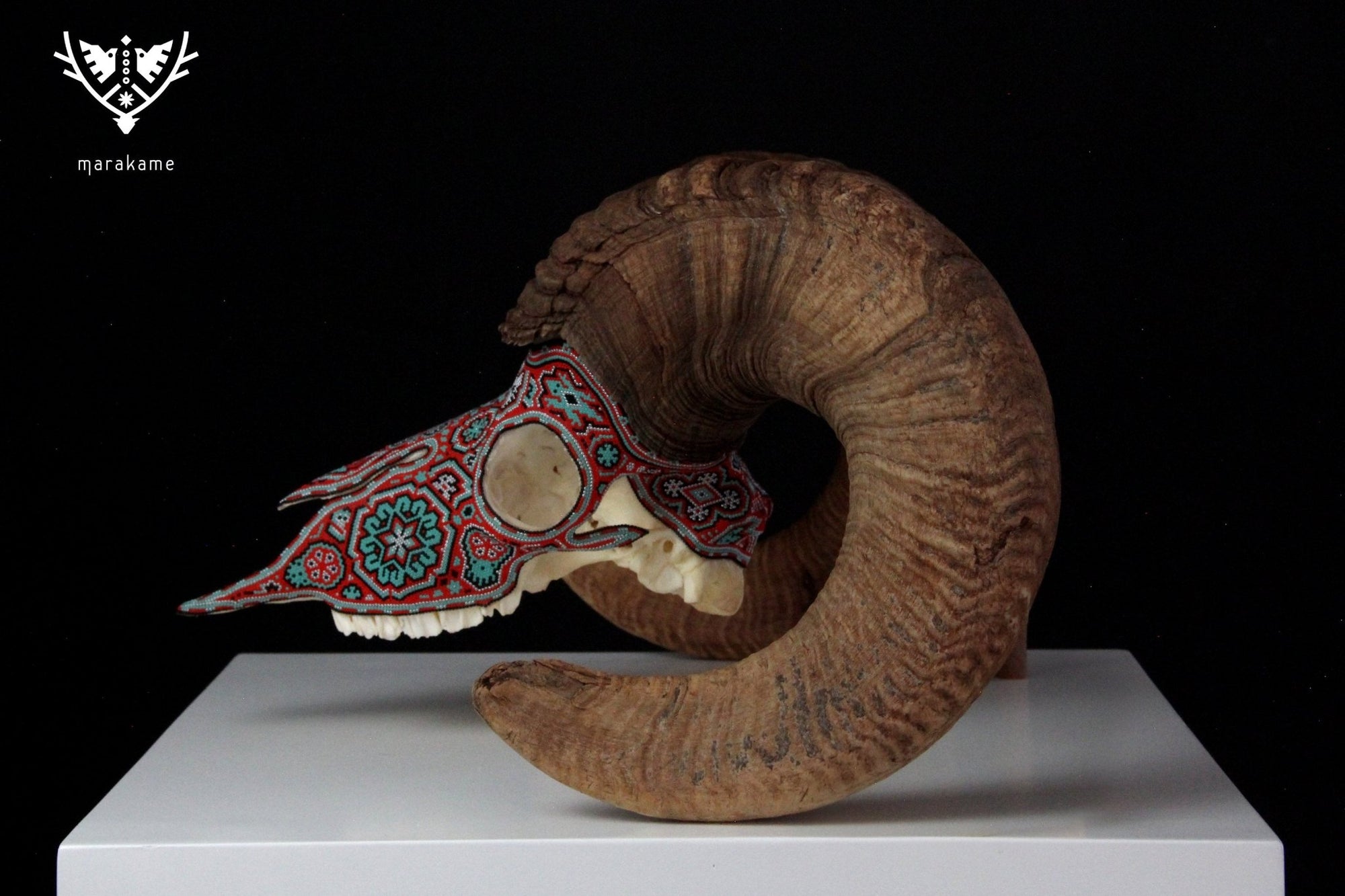 Authentic Bighorn Sheep Skull - Tatewari - Huichol Art - Marakame