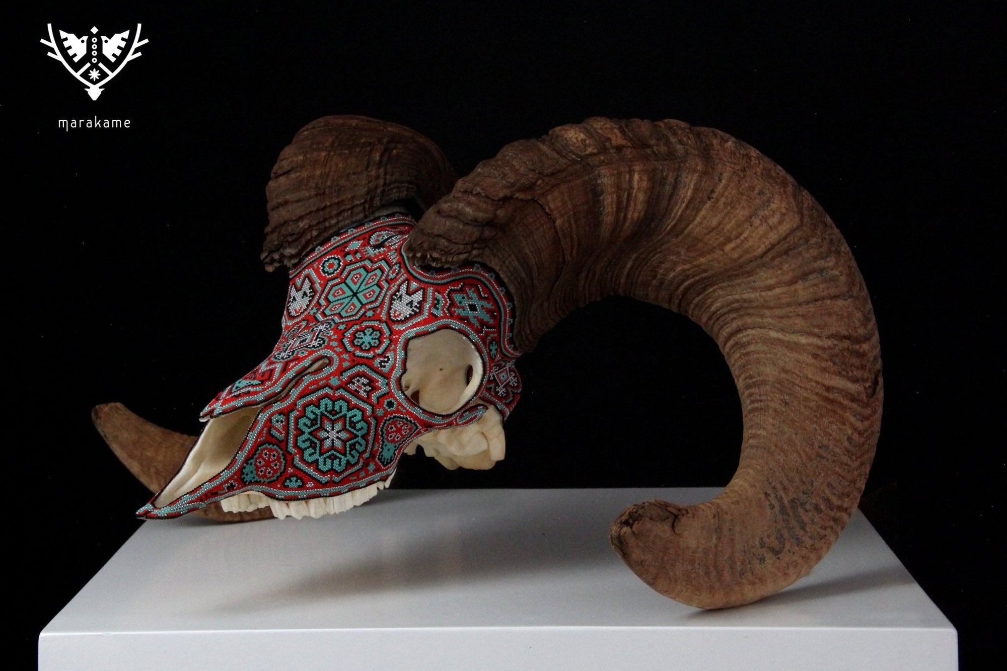 Authentic Bighorn Sheep Skull - Tatewari - Huichol Art - Marakame
