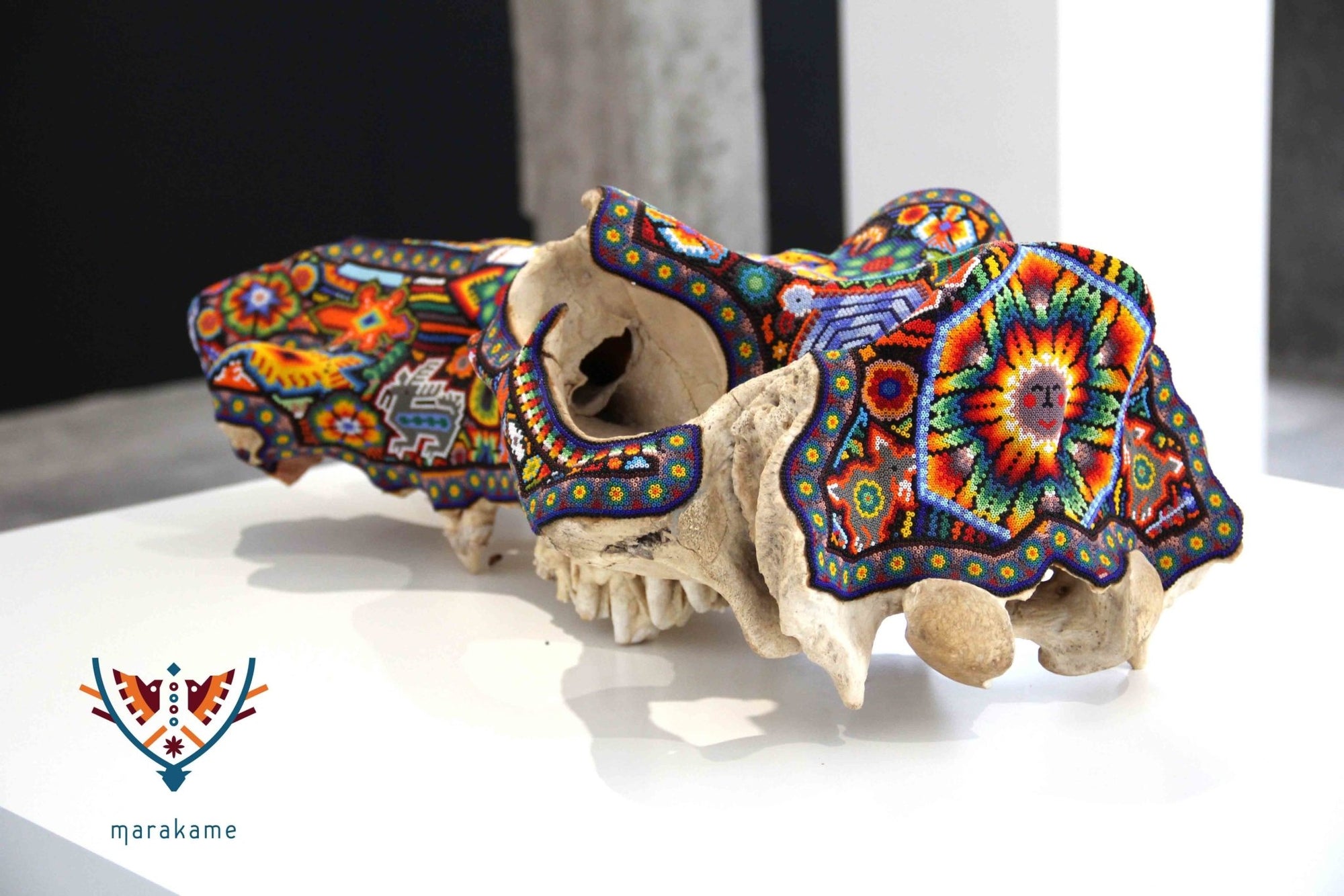 Authentic Hippo Skull - Weriyaukiaa I - Huichol Art - Marakame