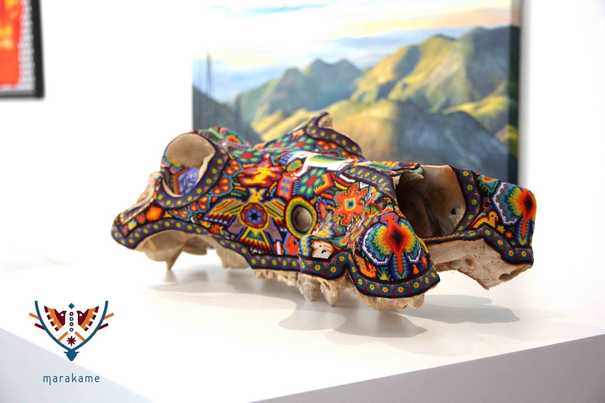 Cráneo auténtico de hipopotamo - Weriyaukiaa I - Arte Huichol - Marakame