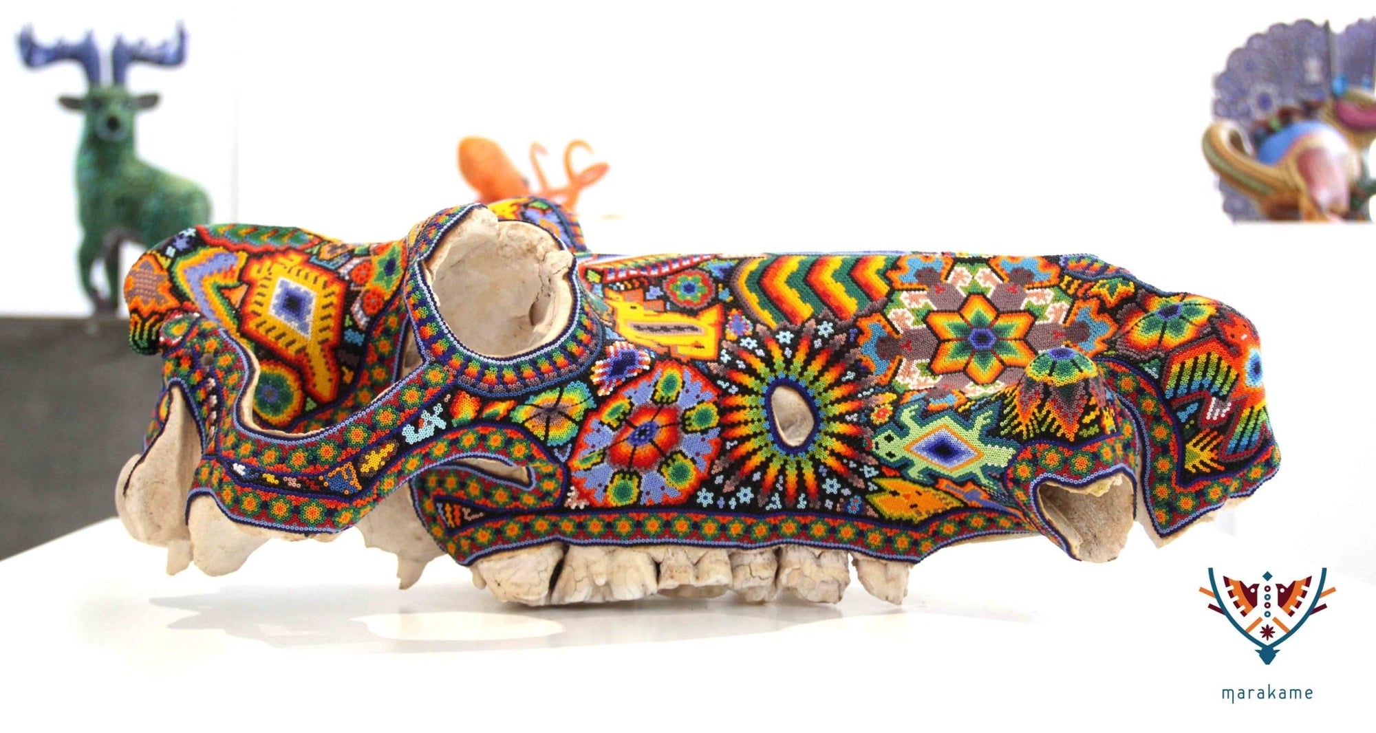 Cráneo auténtico de hipopotamo - Weriyaukiaa II - Arte Huichol - Marakame