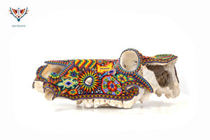 Cráneo auténtico de hipopotamo - Weriyaukiaa II - Arte Huichol - Marakame