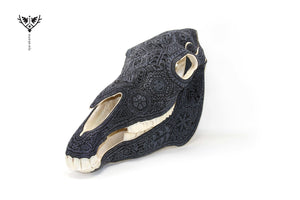 Huichol Horse Skull- "Werika K + pi" -Huichol Art-Marakame