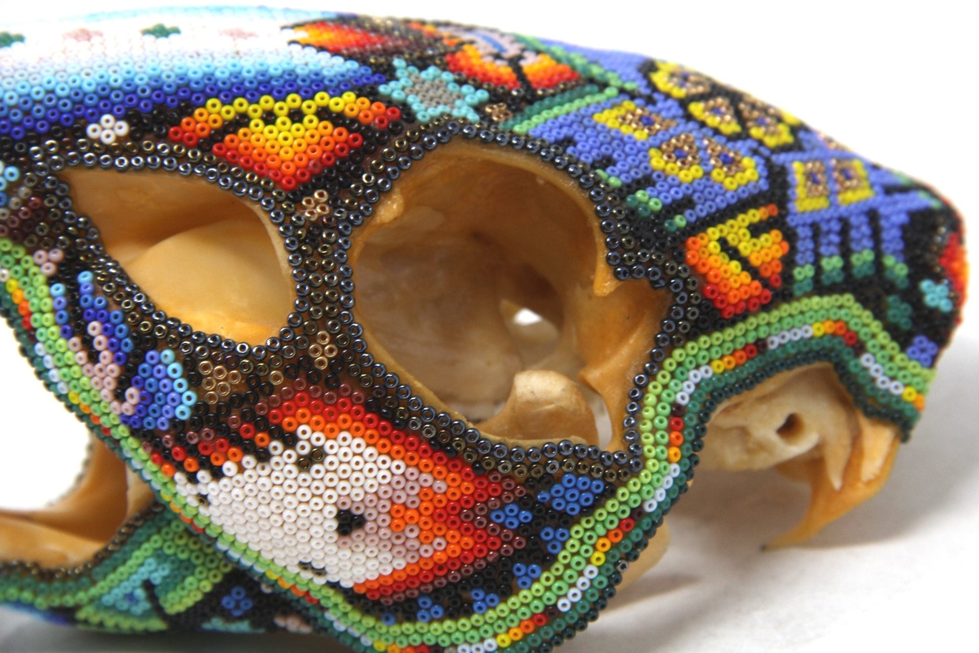 Cráneo de Castor Gigante Huichol -"Watakame Ikú I" - Arte Huichol - Marakame