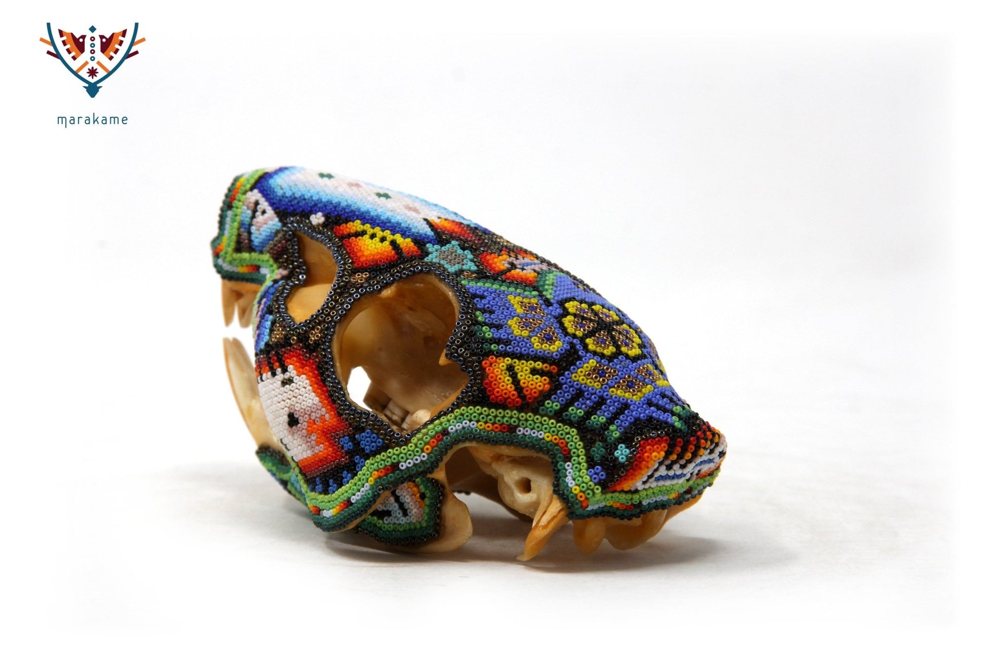 Cráneo de Castor Gigante Huichol -"Watakame Ikú I" - Arte Huichol - Marakame