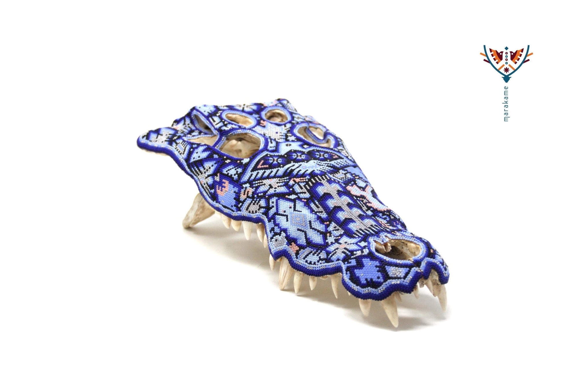 Huichol Krokodilschädel - "Yuawi" - Huichol Kunst - Marakame