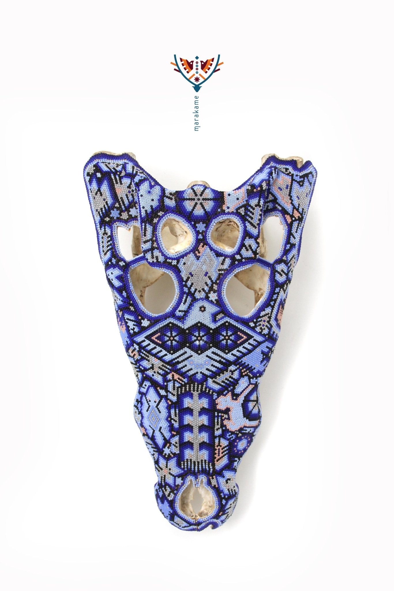 Huichol Krokodilschädel - "Yuawi" - Huichol Kunst - Marakame