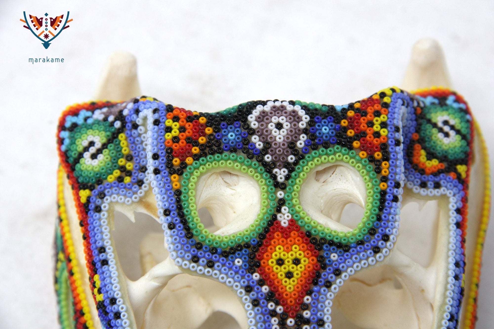 Crocodile Skull - Yutsi tutuya I - Huichol Art - Marakame