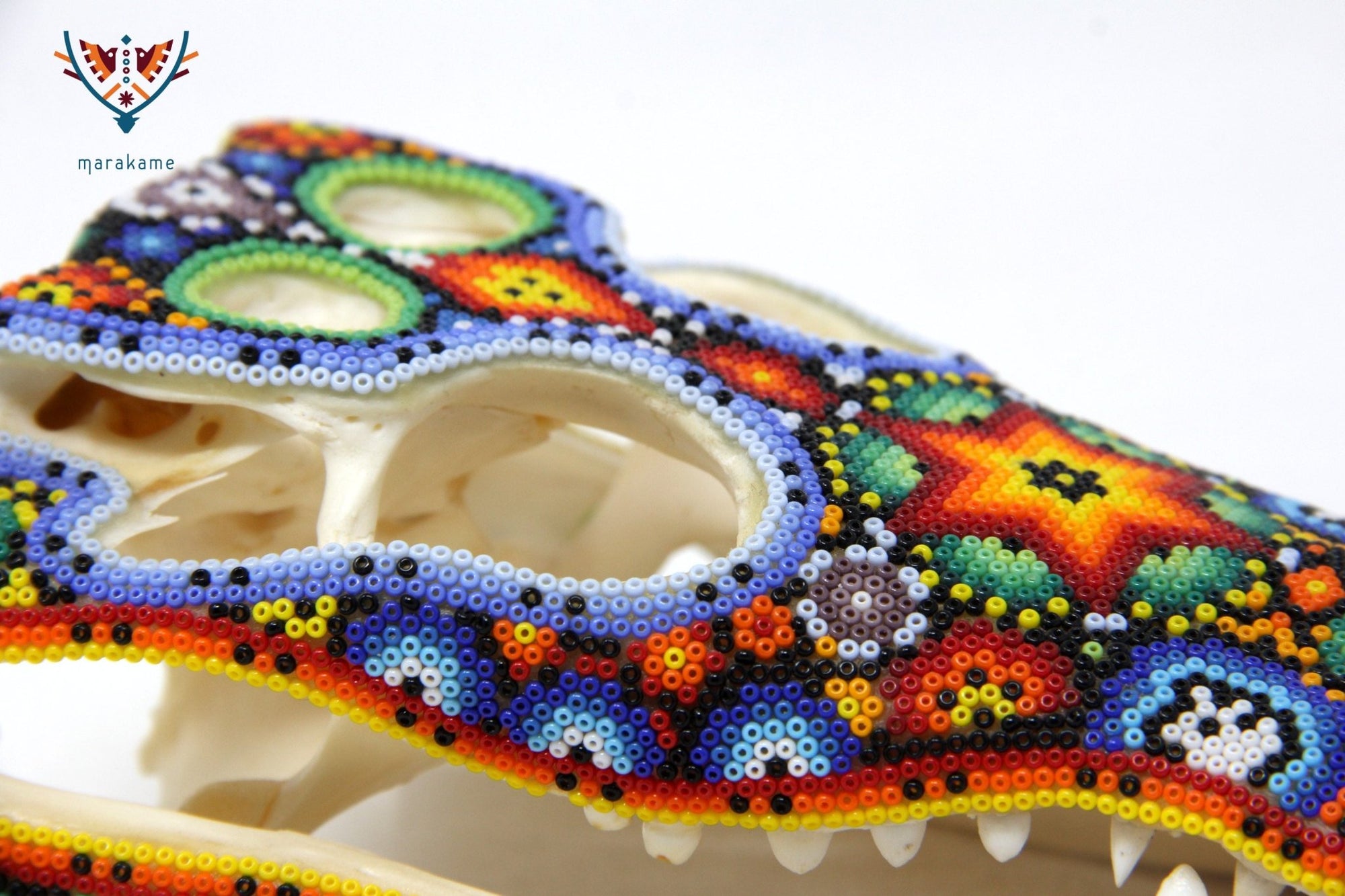 Crocodile Skull - Yutsi tutuya I - Huichol Art - Marakame