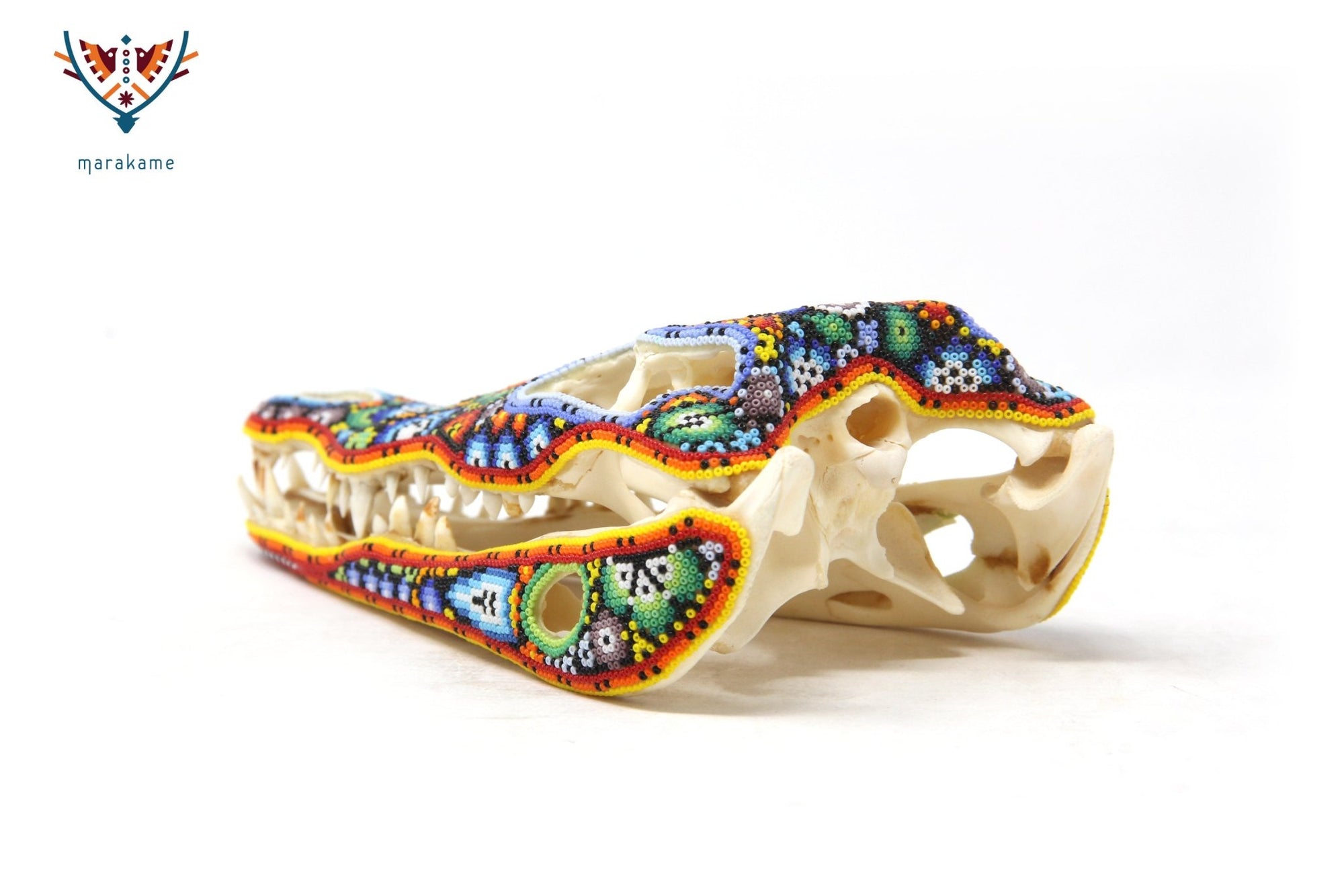 Crocodile Skull - Yutsi tutuya I - Huichol Art - Marakame
