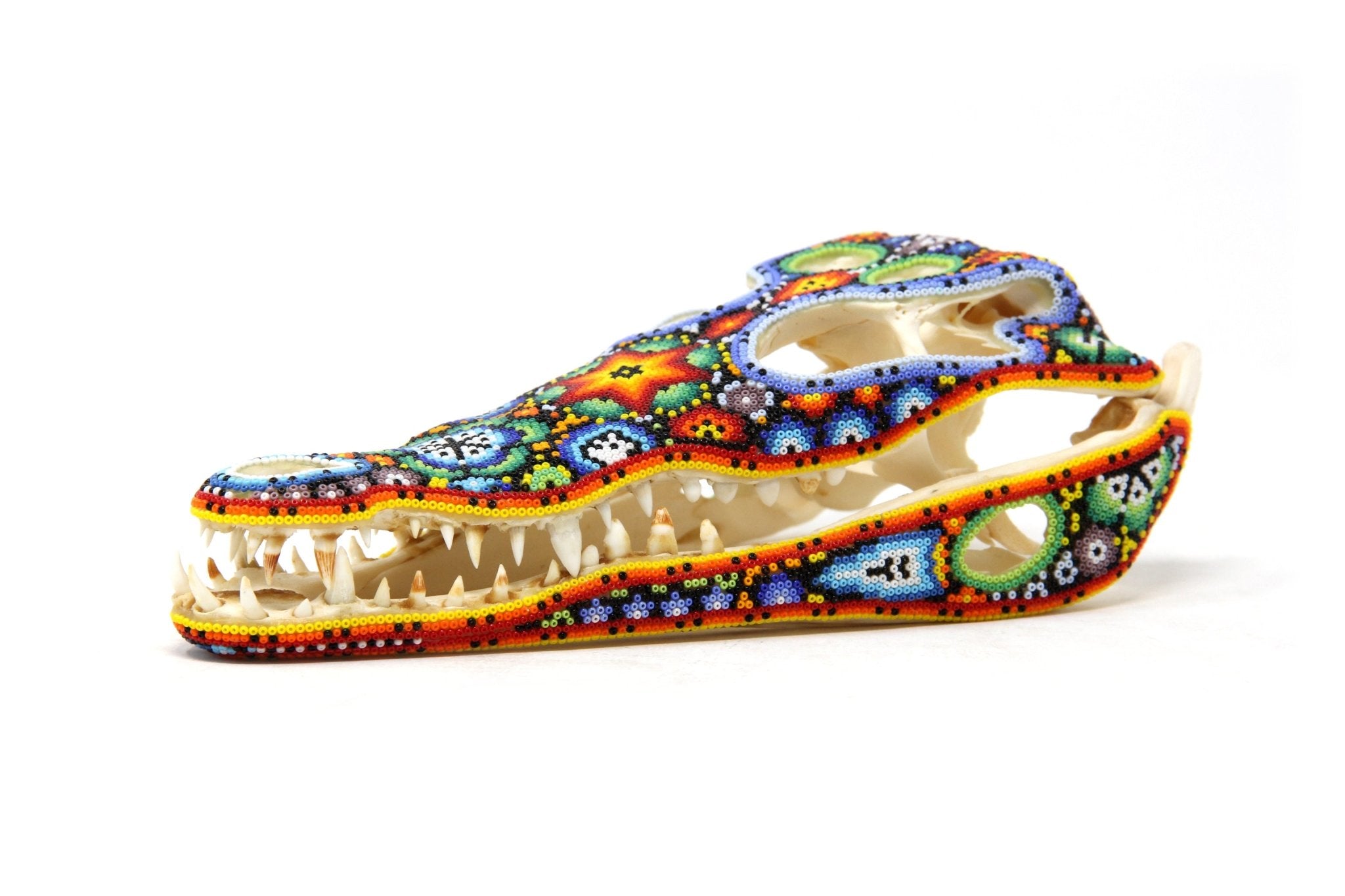 Crâne de crocodile - Yutsi tutuya I - Huichol Art - Marakame