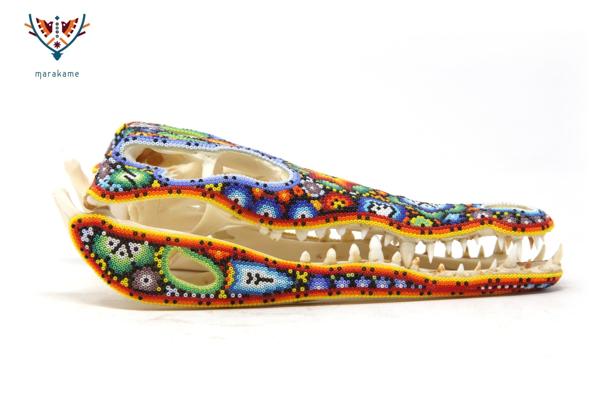 Crocodile Skull - Yutsi tutuya I - Huichol Art - Marakame