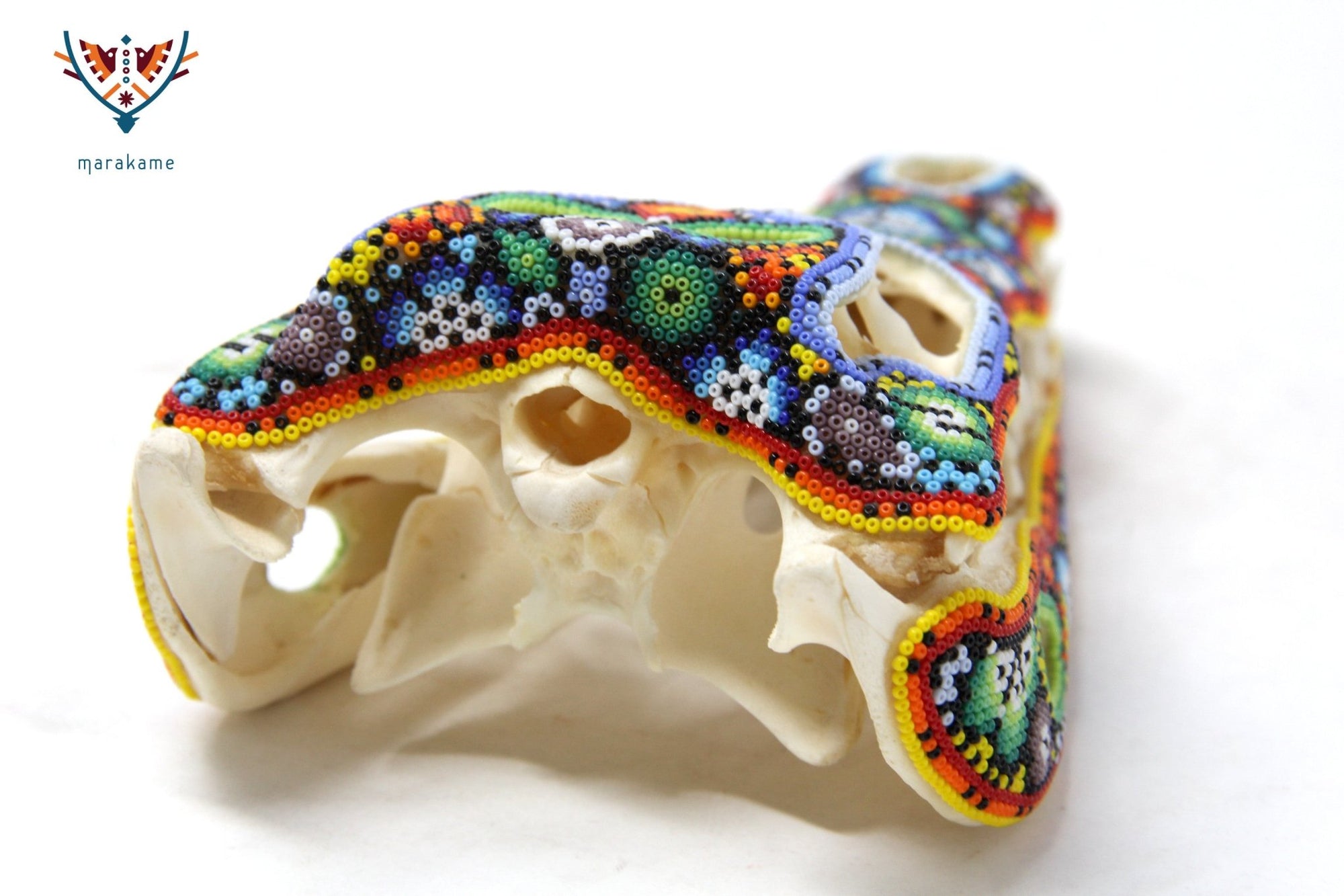 Crocodile Skull - Yutsi tutuya I - Huichol Art - Marakame