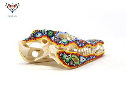 Cráneo de cocodrilo - Yutsi tutuya I - Arte Huichol - Marakame