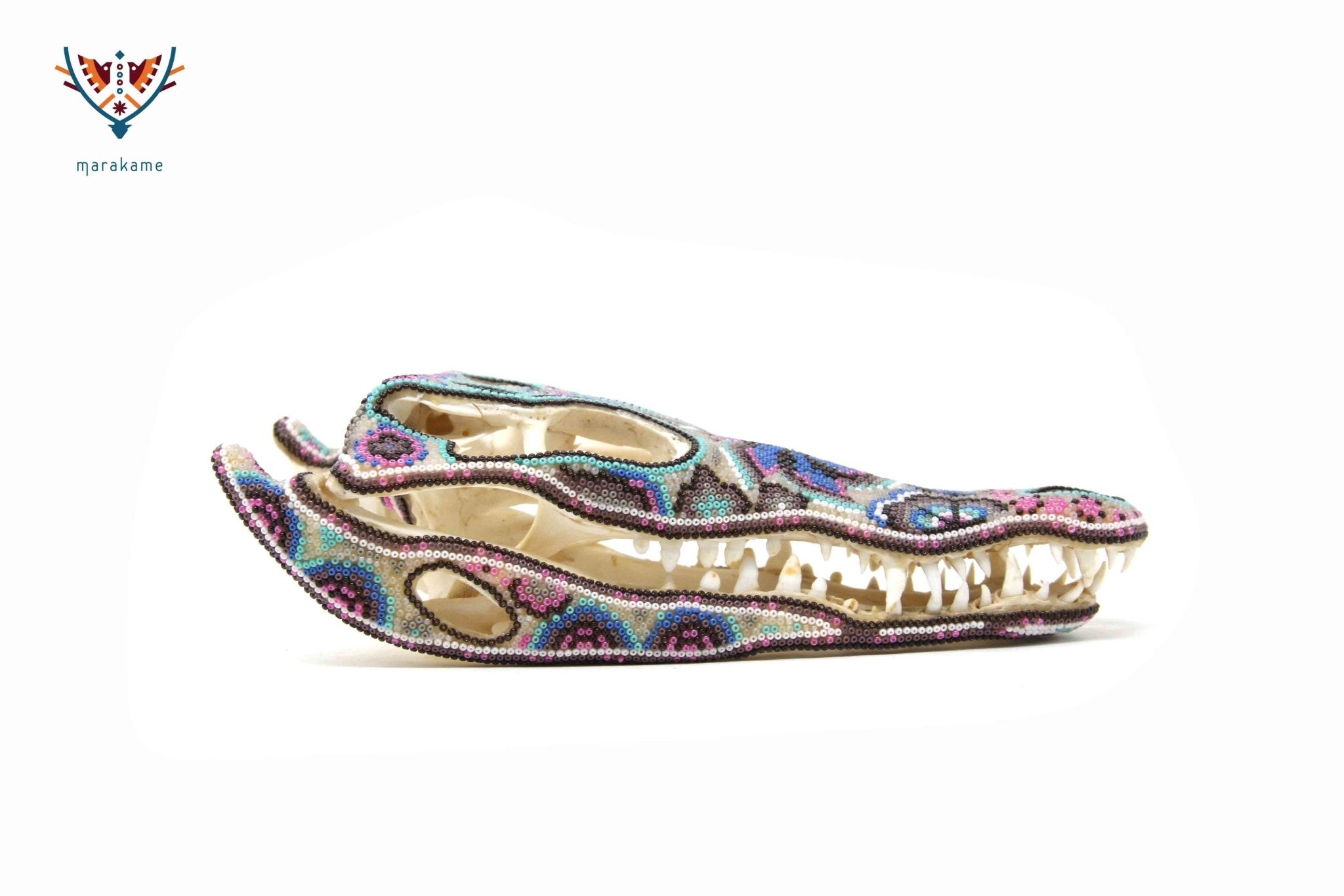 Crâne de crocodile - Yutsi tutuya II - Art Huichol - Marakame