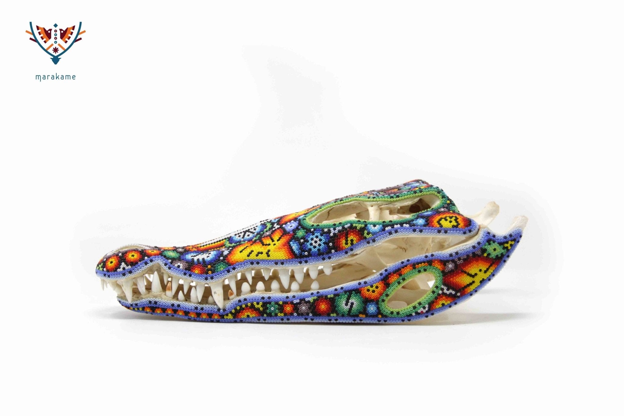 Teschio di coccodrillo - Yutsi tutuya IV - Huichol Art - Marakame