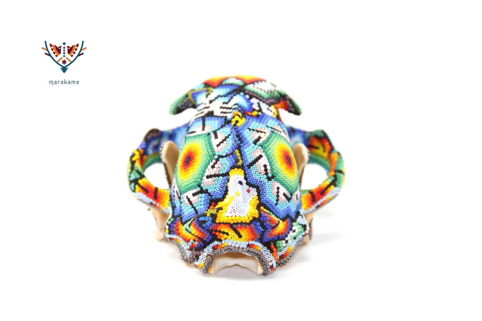 Huichol feline skull - "Ewi Xawe II" - Huichol art - Marakame