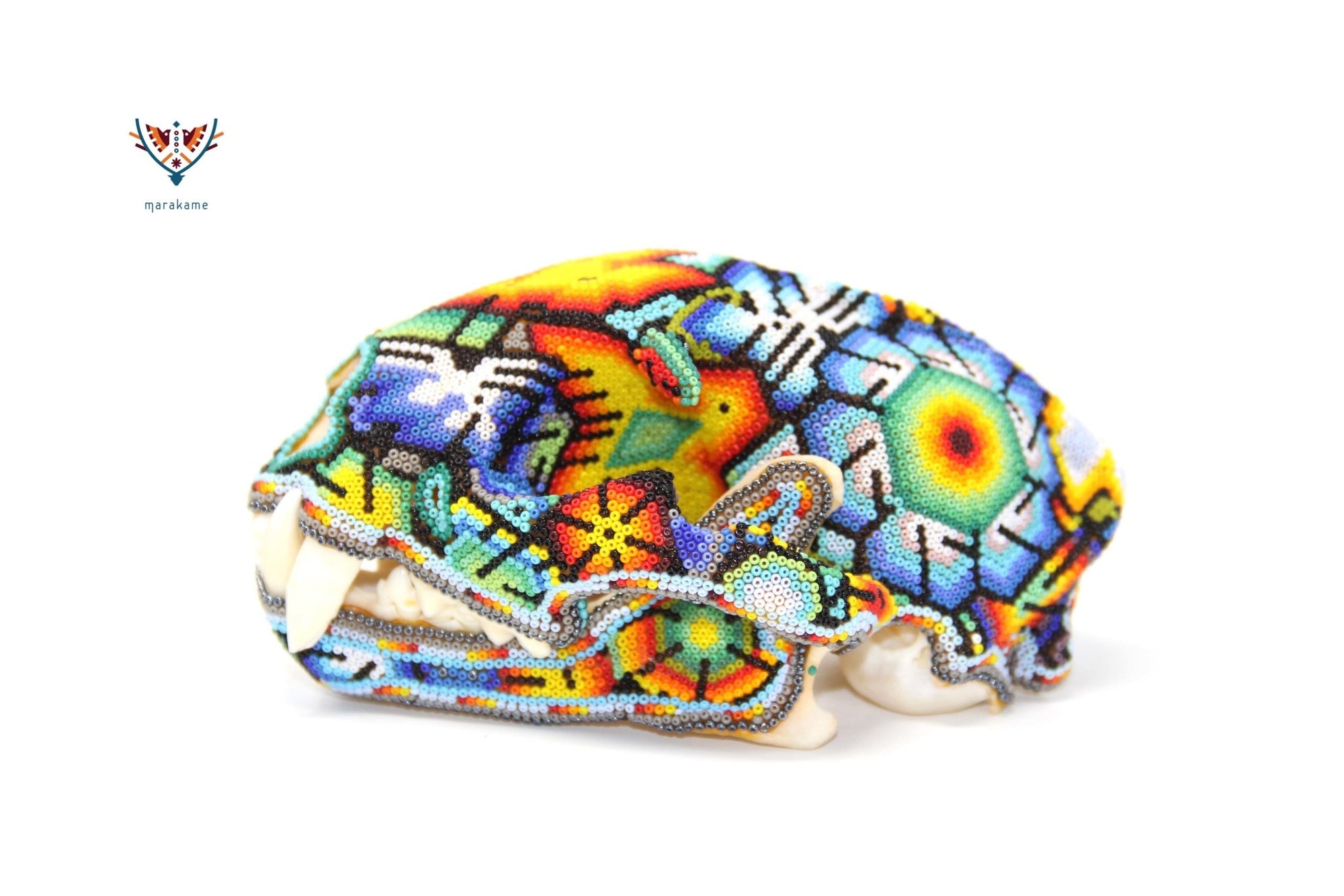 Huichol feline skull - "Ewi Xawe II" - Huichol art - Marakame