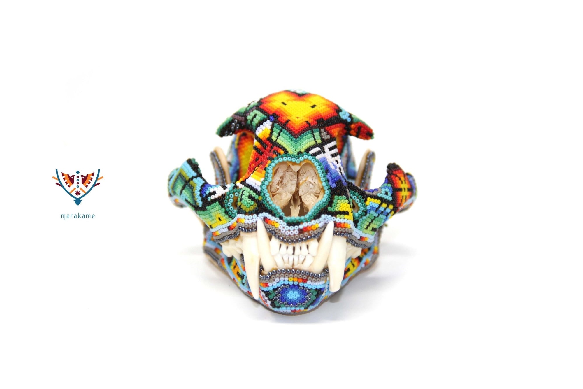Huichol feline skull - "Ewi Xawe II" - Huichol art - Marakame