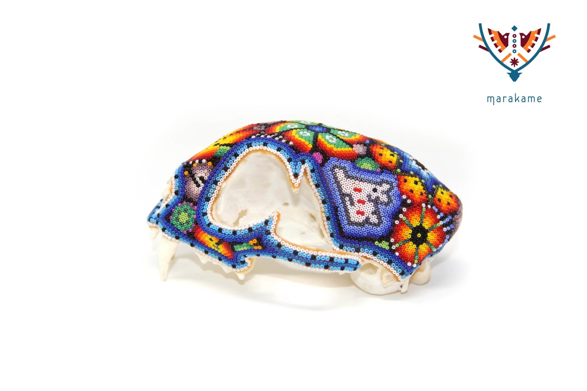 Cráneo de Felino Huichol -"Hikuri Xawe" - Arte Huichol - Marakame