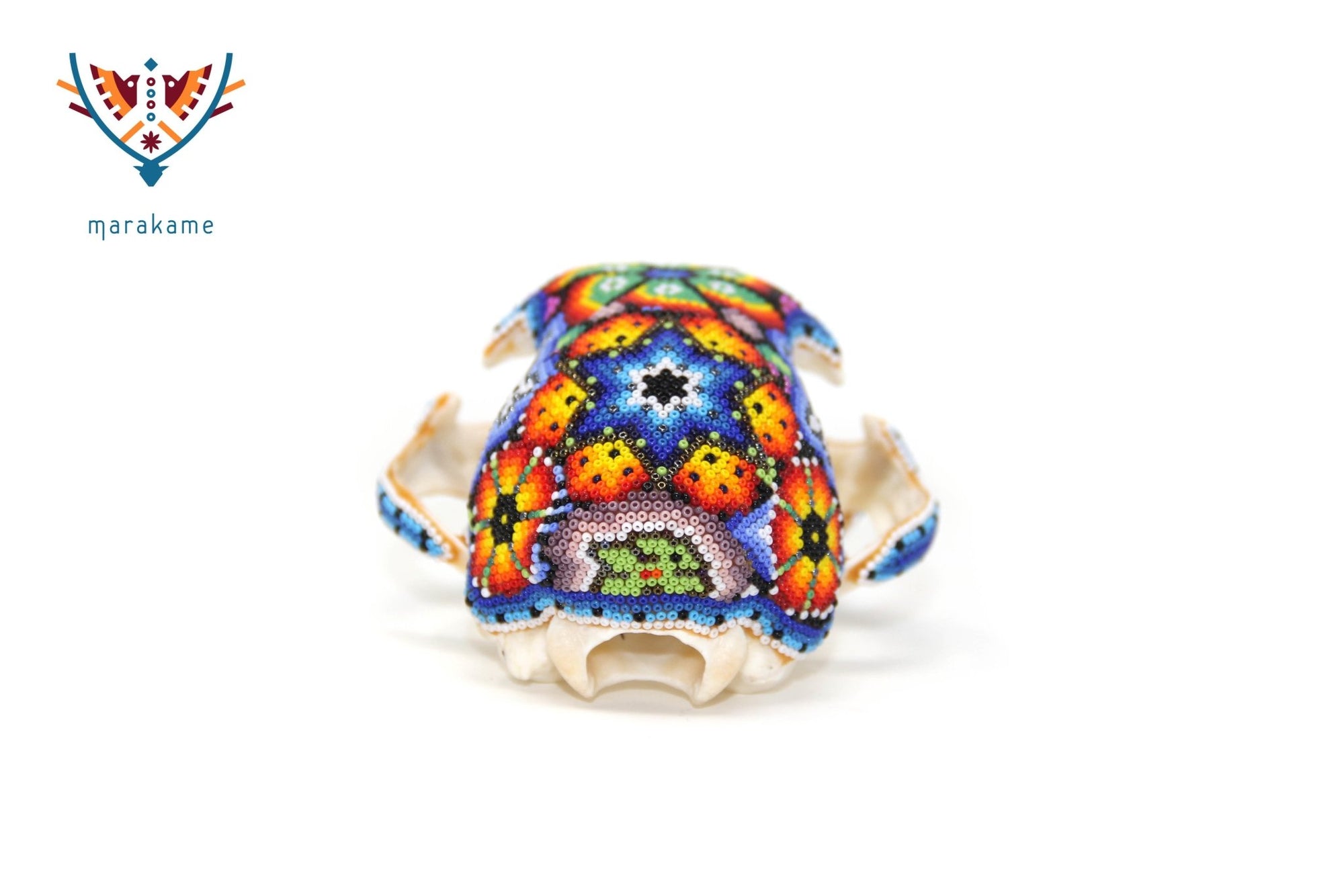 Cráneo de Felino Huichol -"Hikuri Xawe" - Arte Huichol - Marakame
