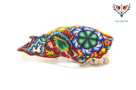 Cráneo de oso Huichol -"Werika Rhotze" - Arte Huichol - Marakame
