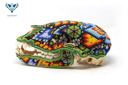 Cráneo de Oso - Tuutú Rhotze - Arte Huichol - Marakame