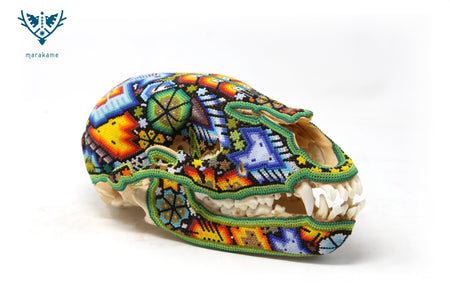 Bear Skull - Rhotze Tuutú - Huichol Art - Marakame