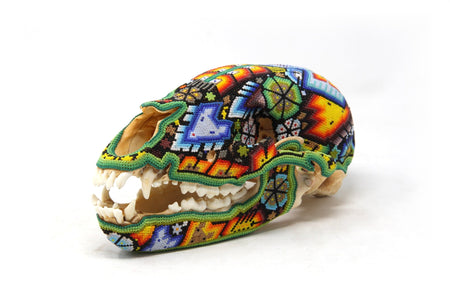 Bear Skull - Rhotze Tuutú - Huichol Art - Marakame