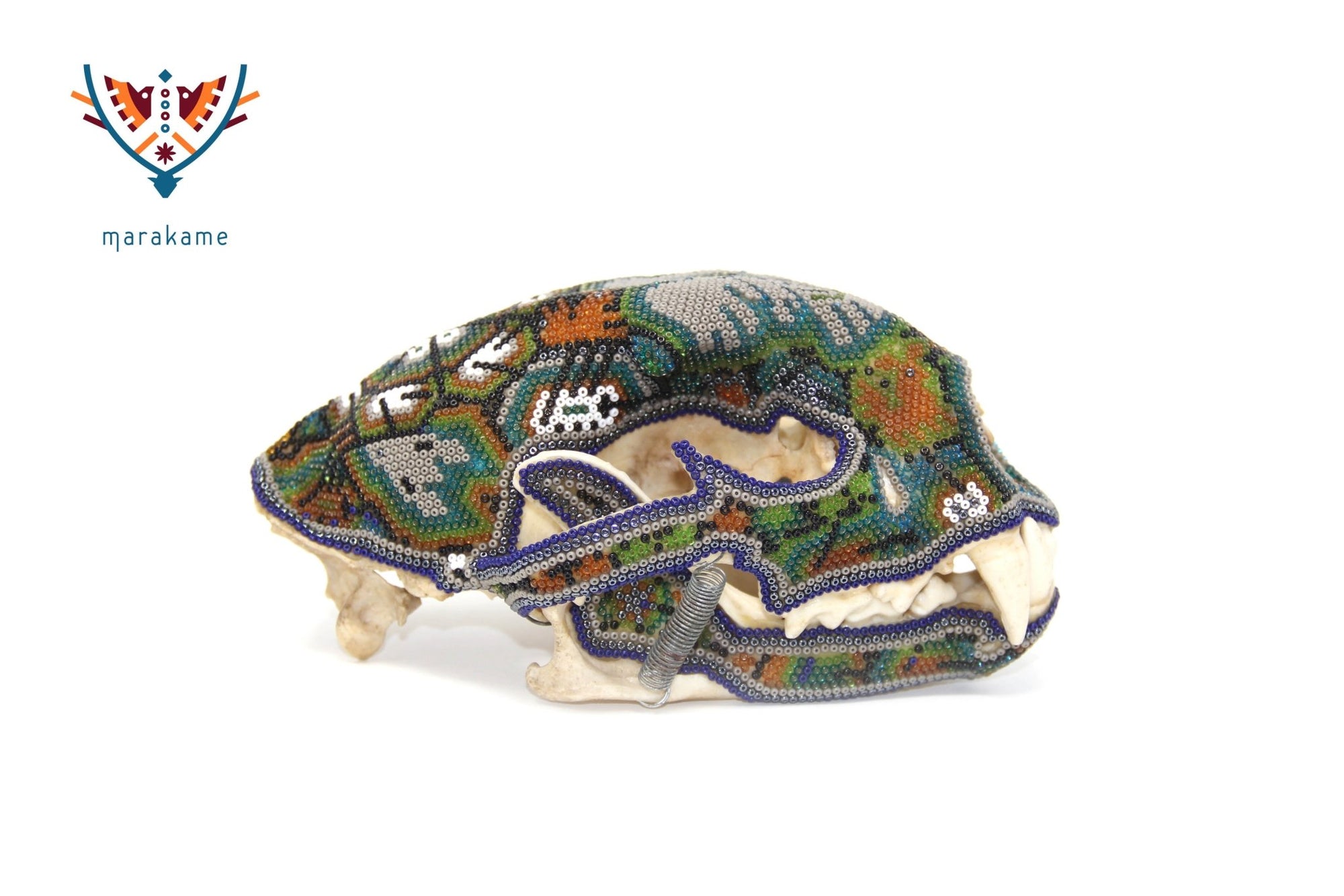 Huichol Puma Schädel - "Werikateime" - Huichol Kunst - Marakame